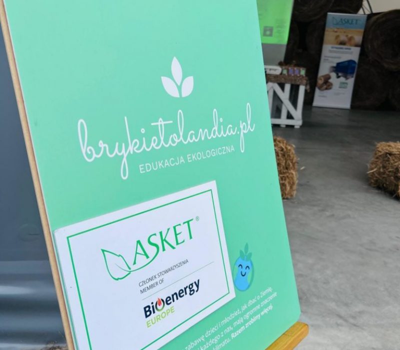 Asket-Brykietolandia-2024-2-2-768x1024